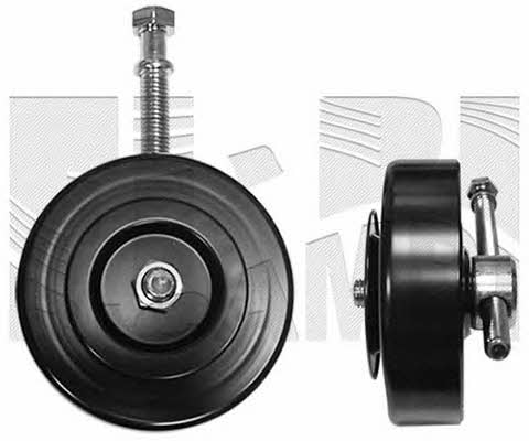 Caliber 20262 DRIVE BELT TENSIONER 20262