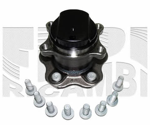 Caliber RC1392 Wheel bearing kit RC1392