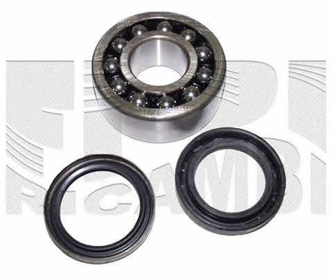 Caliber RC1420 Wheel bearing kit RC1420