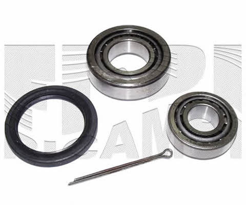 Caliber RC1510 Wheel bearing kit RC1510