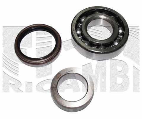 Caliber RC1606 Wheel bearing kit RC1606