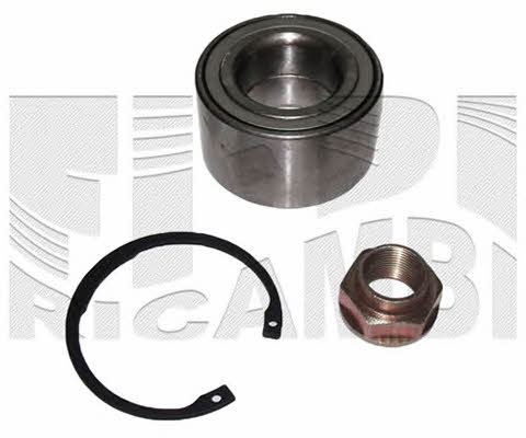 Caliber RC1716 Wheel bearing kit RC1716