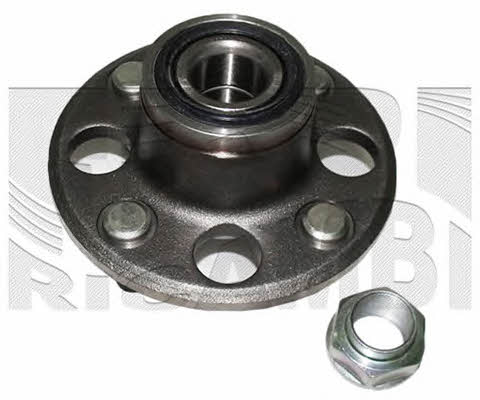 Caliber RC1725 Wheel bearing kit RC1725