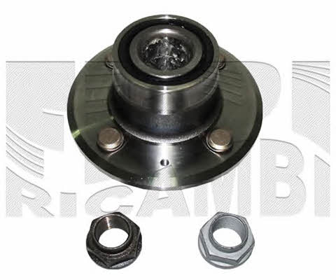 Caliber RC1740 Wheel bearing kit RC1740