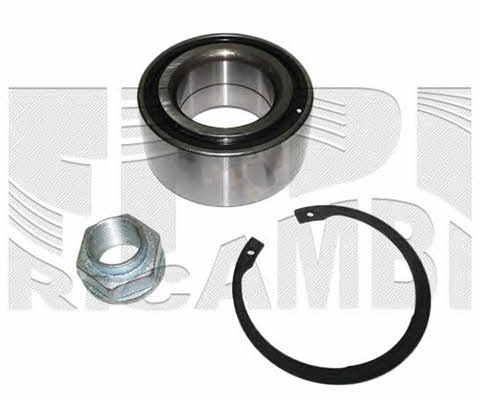 Caliber RC1786 Wheel bearing kit RC1786