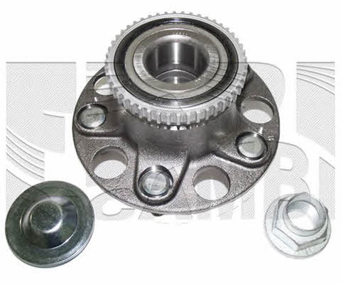 Caliber RC1787 Wheel bearing kit RC1787