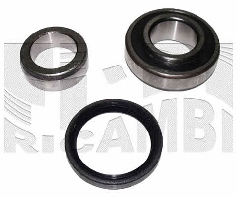 Caliber RC1821 Wheel bearing kit RC1821
