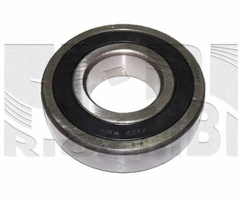 Caliber RC1840 Wheel bearing kit RC1840