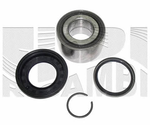 Caliber RC1846 Wheel bearing kit RC1846