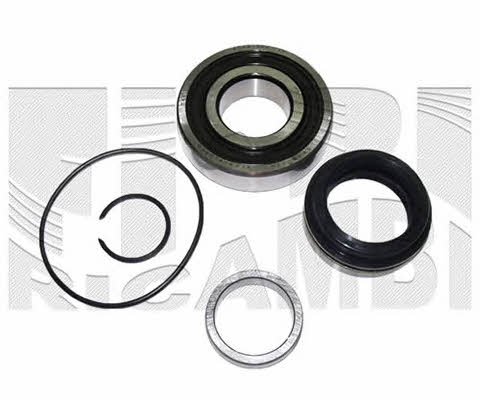 Caliber RC1865 Wheel bearing kit RC1865
