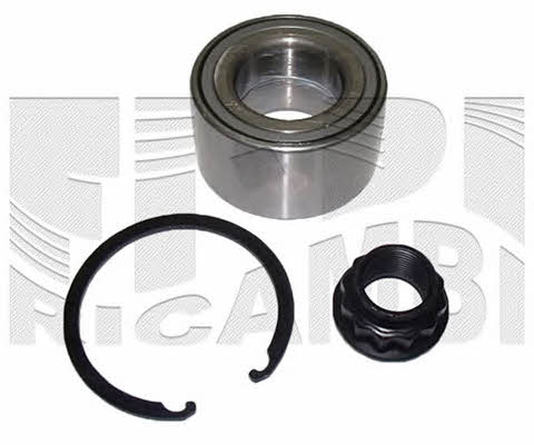 Caliber RC1866 Wheel bearing kit RC1866