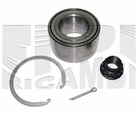 Caliber RC1876 Wheel bearing kit RC1876
