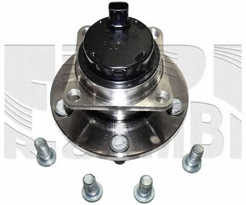 Caliber RC1885 Wheel bearing kit RC1885