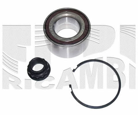 Caliber RC1891 Wheel bearing kit RC1891