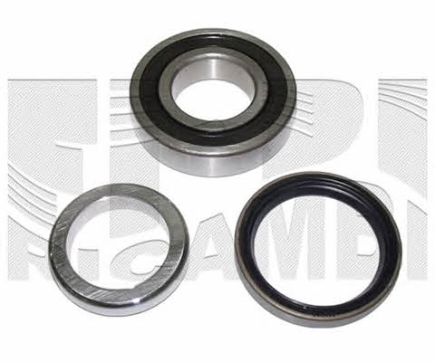Caliber RC1902 Wheel bearing kit RC1902