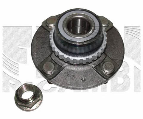 Caliber RC1906 Wheel bearing kit RC1906