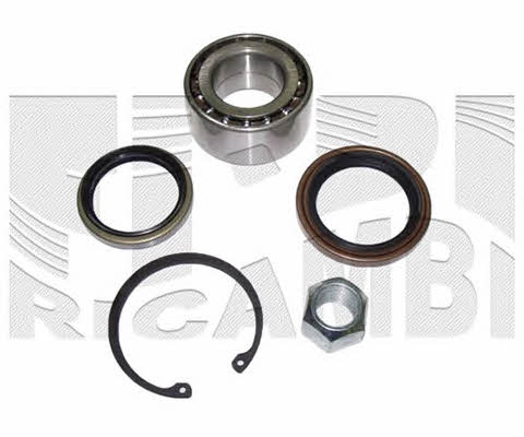 Caliber RC1909 Wheel bearing kit RC1909