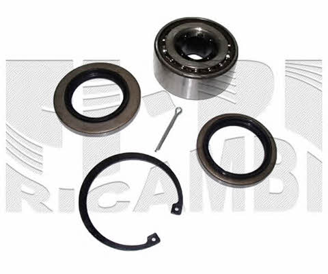 Caliber RC1915 Wheel bearing kit RC1915