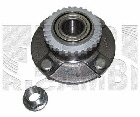 Caliber RC1949 Wheel bearing kit RC1949