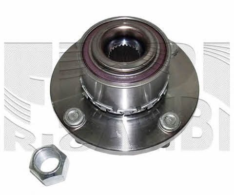 Caliber RC1977 Wheel bearing kit RC1977