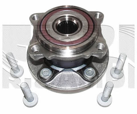 Caliber RC1980 Wheel bearing kit RC1980
