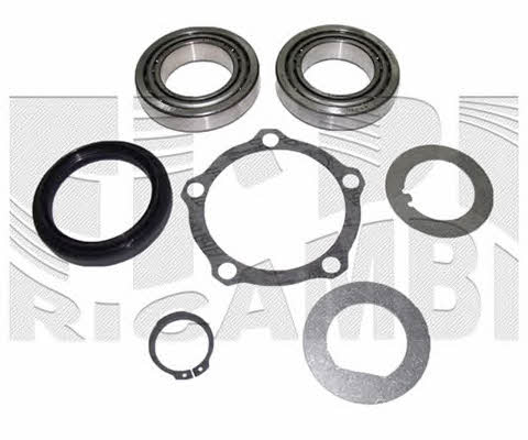 Caliber RC2001 Wheel bearing kit RC2001