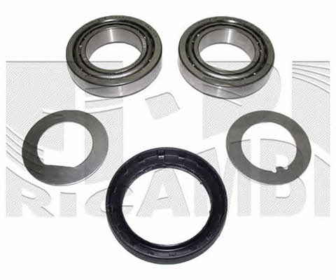 Caliber RC2002 Wheel bearing kit RC2002