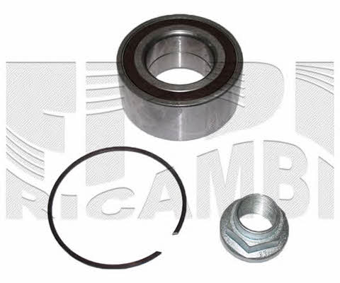 Caliber RC2031 Wheel bearing kit RC2031