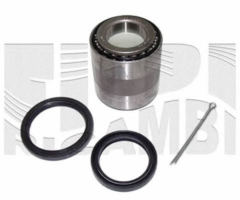 Caliber RC2210 Wheel bearing kit RC2210