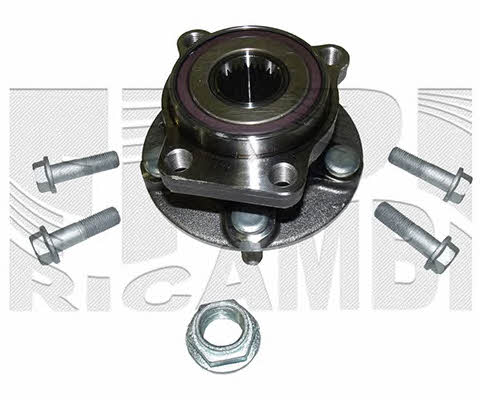 Caliber RC2219 Wheel hub with front bearing RC2219