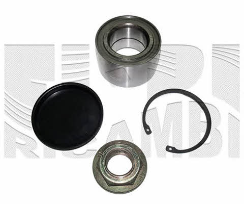Caliber RC3078 Rear Wheel Bearing Kit RC3078