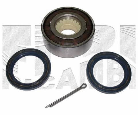 Caliber RC4011 Wheel bearing kit RC4011
