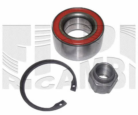 Caliber RC4019 Wheel bearing kit RC4019
