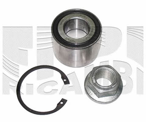 Caliber RC4480 Wheel bearing kit RC4480