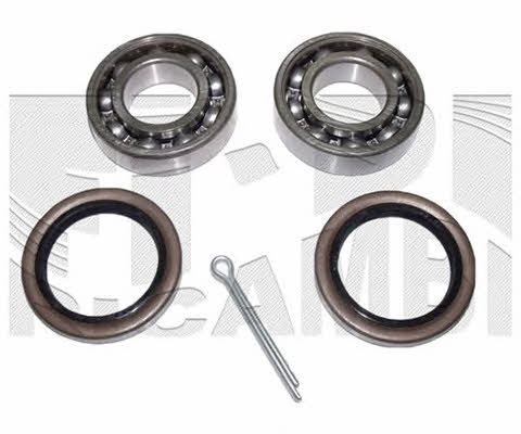 Caliber RC4920 Wheel bearing kit RC4920