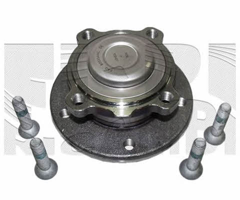 Caliber RC4949 Wheel bearing kit RC4949