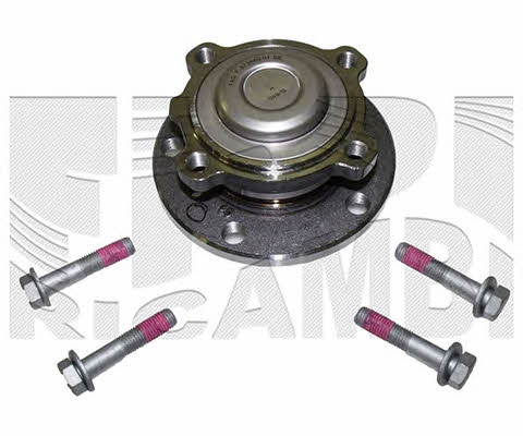 Caliber RC4953 Wheel bearing kit RC4953