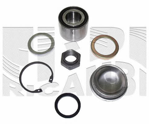 Caliber RC5029 Wheel bearing kit RC5029