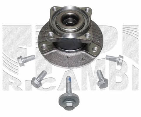 Caliber RC6101 Wheel bearing kit RC6101