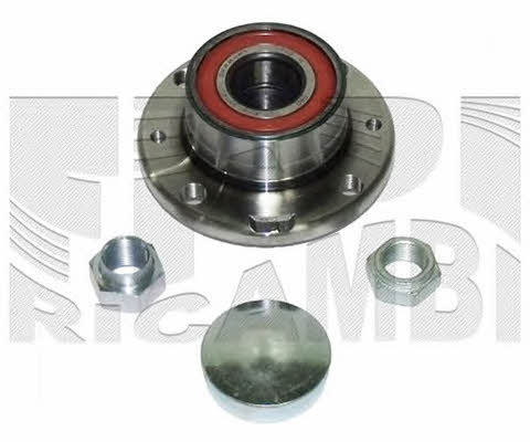 Caliber RC9024 Wheel bearing kit RC9024