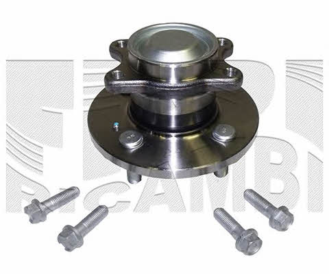 Caliber RC10020 Wheel bearing kit RC10020