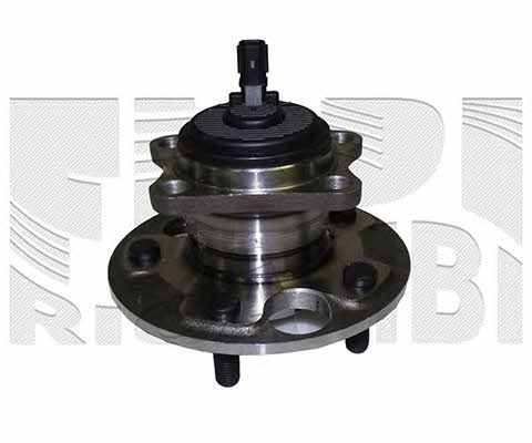 Caliber RC10100 Wheel bearing kit RC10100