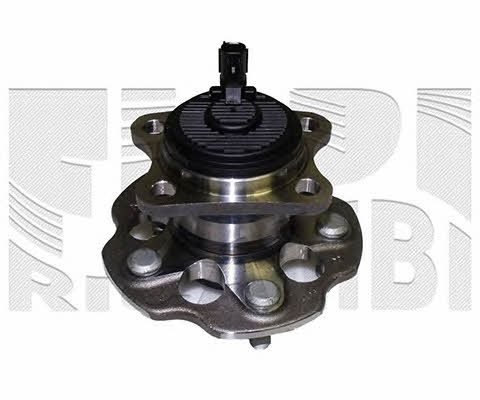 Caliber RC10090 Wheel bearing kit RC10090
