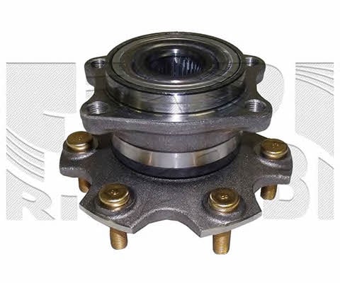 Caliber RC10110 Wheel bearing kit RC10110
