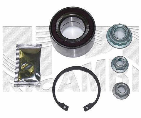 Caliber RC1095 Wheel bearing kit RC1095