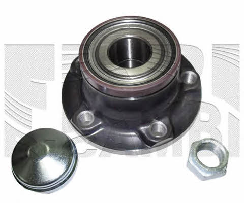 Caliber RC9099 Wheel bearing kit RC9099