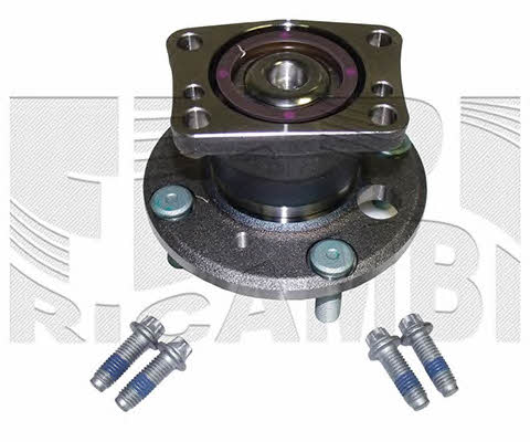 Caliber RC10000 Wheel bearing kit RC10000