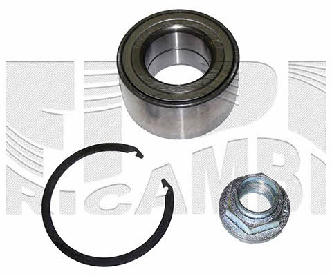 Caliber RC1578 Wheel bearing kit RC1578