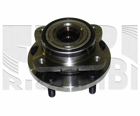 Caliber RC10200 Wheel bearing kit RC10200