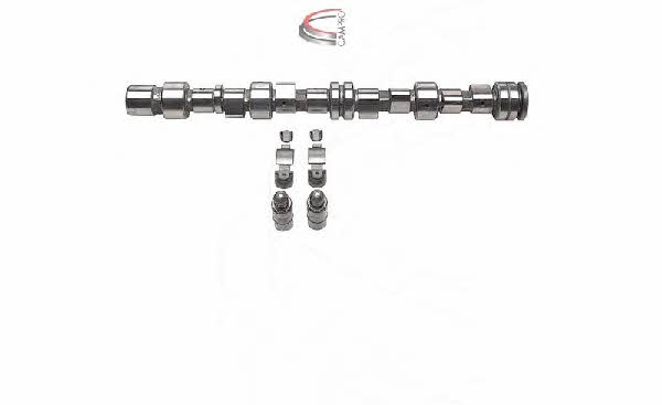  CP62264 Camshaft set CP62264